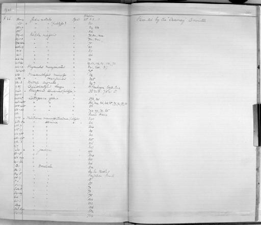 Cheilodactylus bergi Norman, 1937 - Zoology Accessions Register: Fishes: 1912 - 1936: page 367