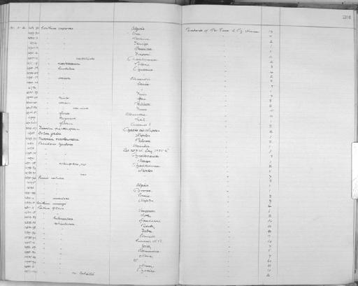 Bittium reticulatum (Da Costa, 1778) - Zoology Accessions Register: Mollusca: 1906 - 1911: page 204