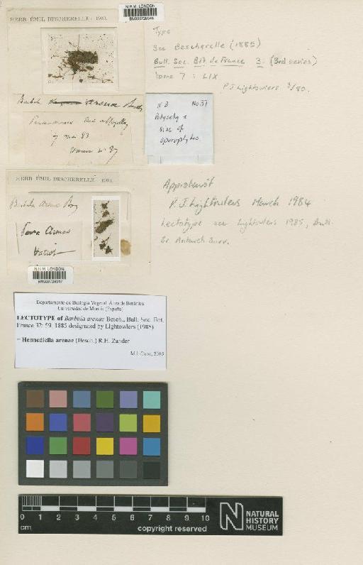 Hennediella arenae (Besch.) Zander - BM000728046_a