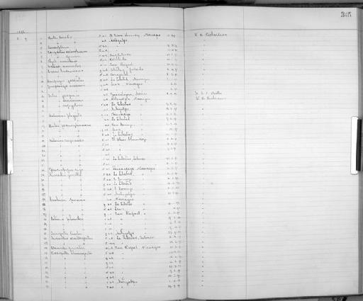 Gampsonyx swainsonii leonae C.Chubb, 1918 - Bird Group Collector's Register: Aves - Salvin & Godman Collection Vol 4: 1889 - 1898: page 345