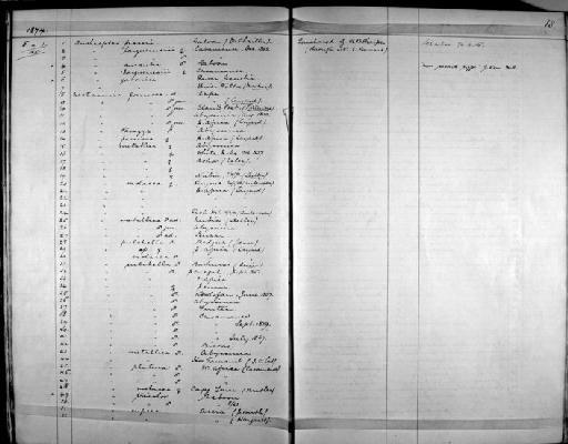 Nectarinia famosa famosa - Zoology Accessions Register: Aves (Skins): 1874 -1880: page 18