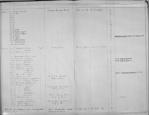 Turbonilla inaequalis subterclass Tectipleura Melvill, 1904 - Zoology Accessions Register: Mollusca: 1900 - 1905: page 197