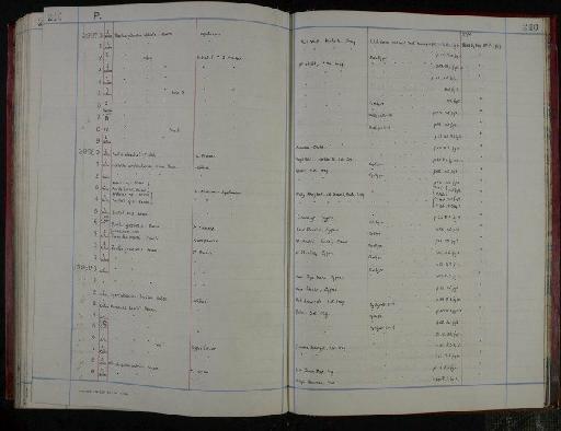 Sorites grecoensis Henson, 1950 - NHM-UK_P_DF118_04_05_0485