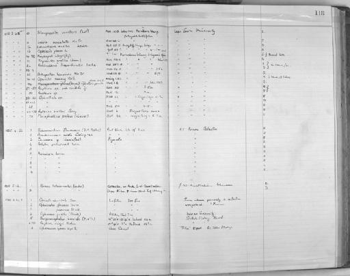 Amphiura chiajei Forbes, 1843 - Zoology Accessions Register: Echinodermata: 1935 - 1984: page 118
