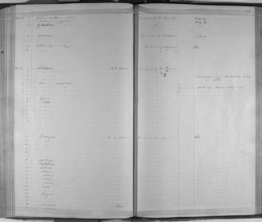 Achatina bisculpta Smith, 1878 - Zoology Accessions Register: Mollusca: 1844 - 1847: page 221