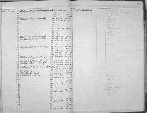 Chelophyes contorta (Lens & van Riemsdijk, 1908) - Zoology Accessions Register: Coelenterata: 1951 - 1958: page 166