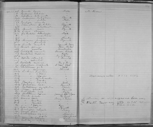 Lumbricus purpureus - Zoology Accessions Register: Annelida & Echinoderms: 1884 - 1923: page 124