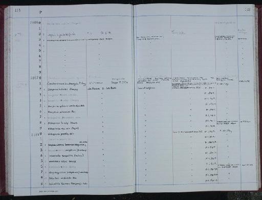 Lepidocyclina (Eulepidina) dilatata (Michelotti) - NHM-UK_P_DF118_04_07_0247