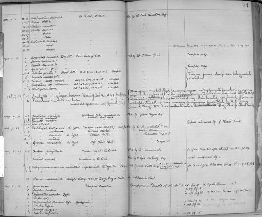 Dichelaspis bathynomi - Zoology Accessions Register: Crustacea: 1905 - 1935: page 24