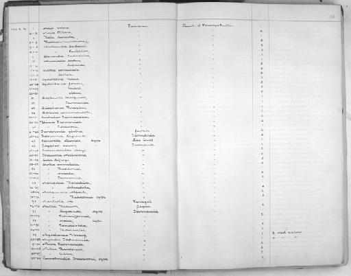 Mitra legrandi Tenison Woods, 1876 - Zoology Accessions Register: Mollusca: 1900 - 1905: page 34