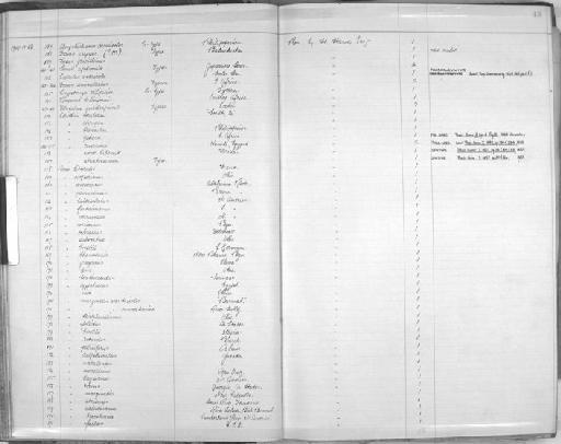 Cerithium novaehiberniae - Zoology Accessions Register: Mollusca: 1906 - 1911: page 45