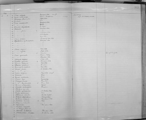 Prinia rufula Godwin-Austen, 1874 - Zoology Accessions Register: Aves (Skins): 1896 -1900: page 309