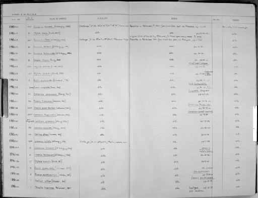 Peraclis bispinosa subterclass Tectipleura Pelseneer, 1888 - Zoology Accessions Register: Mollusca: 1962 - 1969: page 6