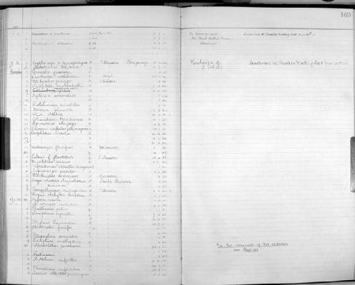 Eleothreptus anomalus - Zoology Accessions Register: Aves (Skins): 1923 - 1926: page 169