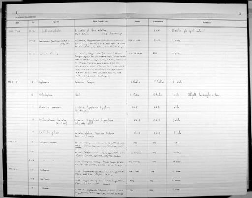 Lepidapcolor gearstrayne Campbell and Bray 1993 - Zoology Accessions Register: Platyhelminth: 1993: page 5