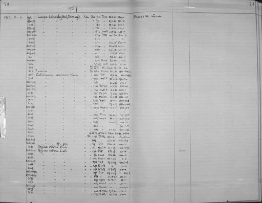 Aegina citrea Eschscholtz, 1829 - Zoology Accessions Register: Coelenterata: 1951 - 1958: page 74