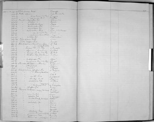 Planorbis kisumiensis subterclass Tectipleura Preston, 1912 - Zoology Accessions Register: Mollusca: 1925 - 1937: page 295