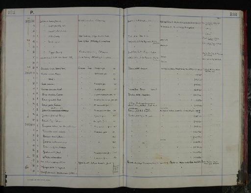 Globorotalia haldonensis - NHM-UK_P_DF118_04_05_0391