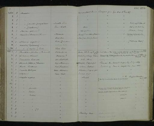 Nautilus goliathum - NHM-UK_P_DF118_06_29_0207
