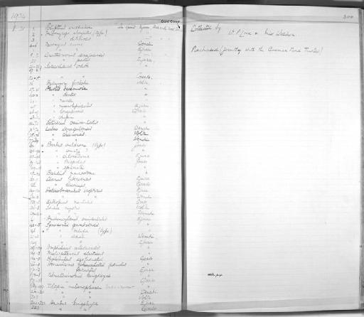 Amphilius atesuensis Boulenger, 1904 - Zoology Accessions Register: Fishes: 1912 - 1936: page 300