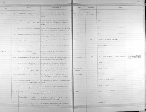 Ligophorus mugilinus (Hargis, 1955) - Zoology Accessions Register: Platyhelminth: 1987 - 1993: page 53