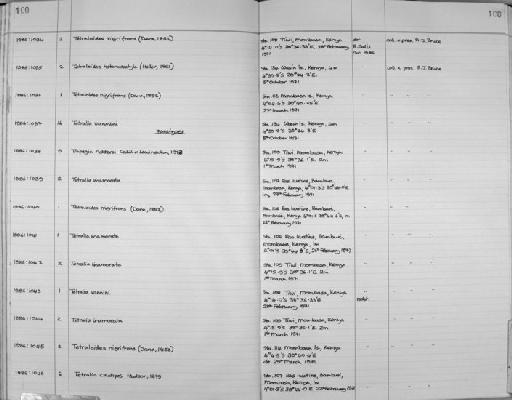 Tetralia vannini subsection Heterotremata section Eubrachyura - Zoology Accessions Register: Crustacea: 1984 - 1991: page 100