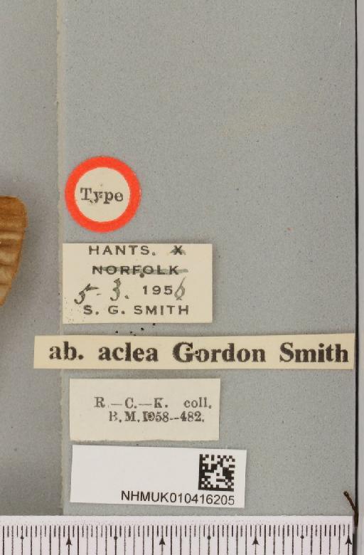 Arctia caja ab. aclea Smith, 1957 - NHMUK_010416205_label_528506
