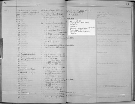 Euphysa tentaculata Linko, 1905 - Zoology Accessions Register: Coelenterata: 1934 - 1951: page 50