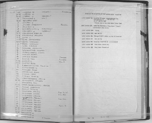 Glyptosternon sinense - Zoology Accessions Register: Fishes: 1961 - 1971: page 170