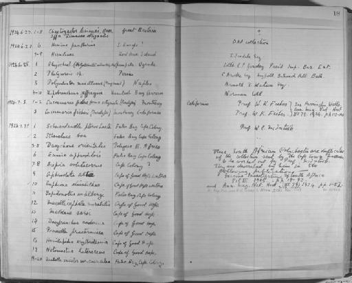 Cucumaria fisheri astigmata Wells, 1924 - Zoology Accessions Register: Annelida & Echinoderms: 1924 - 1936: page 18