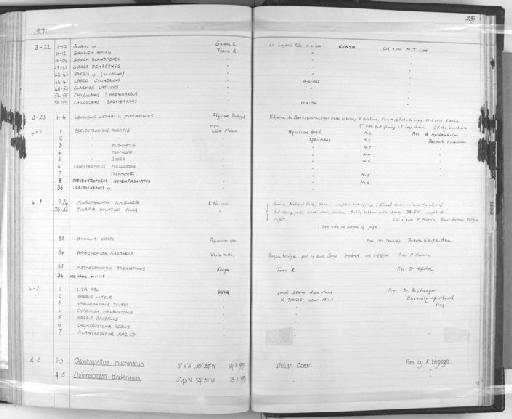 Garra dembeensis (Rüppell, 1836) - Zoology Accessions Register: Fishes: 1961 - 1971: page 239