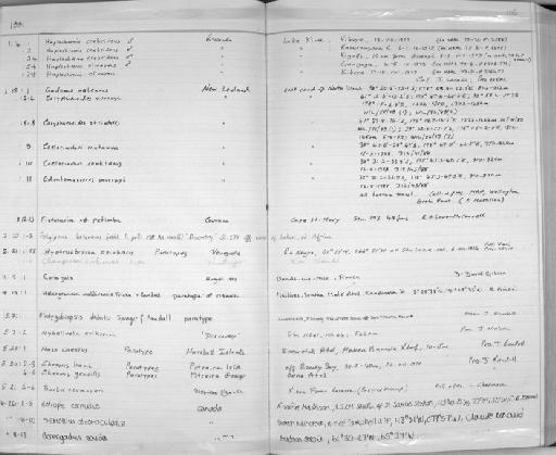 Coryphaenoides murrayi Günther, 1878 - Zoology Accessions Register: Fishes: 1986 - 1994: page 105