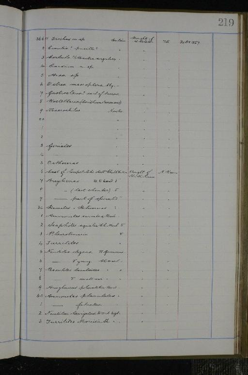 Ptychodus decurrens infraphylum Gnathostomata Agassiz, 1839 - NHM-UK_P_DF118_02_02_0439