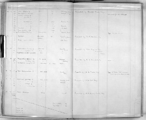 Petaurillus hosei - Zoology Accessions Register: Mammals: 1899 - 1903: page 43