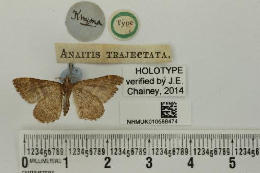 Anaitis trajectata Walker, 1863 - NHMUK_010588474_Anaitis_trajectata_Walker_HT_male_ventral_and_labels.JPG