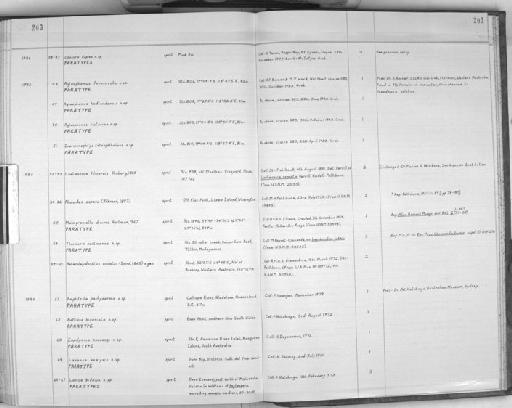 Thormora hartmanae Hartman, 1967 - Zoology Accessions Register: Polychaeta: 1967 - 1989: page 203