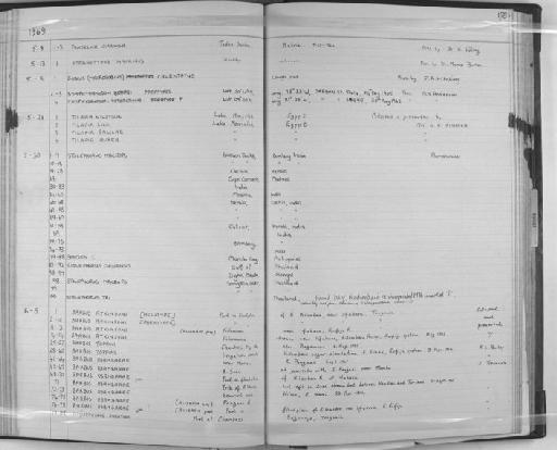 Barbus atkinsoni Bailey, 1969 - Zoology Accessions Register: Fishes: 1961 - 1971: page 178