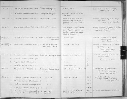 Ephydatia fluviatilis (Linnaeus, 1759) - Zoology Accessions Register: Spongiida: 1954 - 1970: page 81