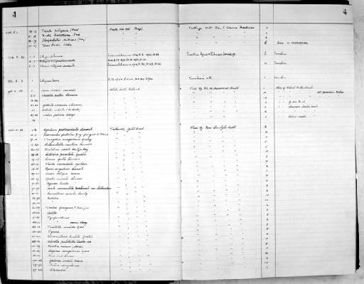 Nassa obliqua Krauss - Zoology Accessions Register: Mollusca: 1956 - 1978: page 4