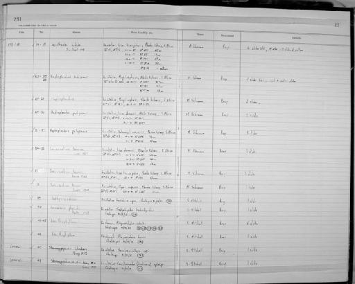 Lecithaster halodes Overstreet, 1973 - Zoology Accessions Register: Platyhelminth: 1987 - 1993: page 231