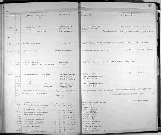 Barbus mattozi Guimaraes, 1884 - Zoology Accessions Register: Fishes: 1961 - 1971: page 49