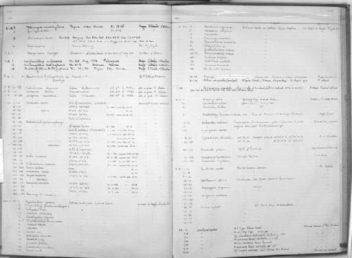 Herklotsichthys koningsbergeri Weber & de Beaufort, 1912 - Zoology Accessions Register: Fishes: 1971 - 1985: page 321