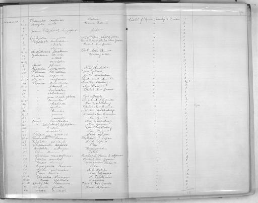 Cyclostoma carnicolor Ancey, 1902 - Zoology Accessions Register: Mollusca: 1900 - 1905: page 96