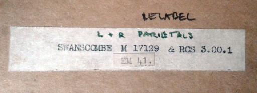 Homo sp. - PA EM 41 Original box cover label