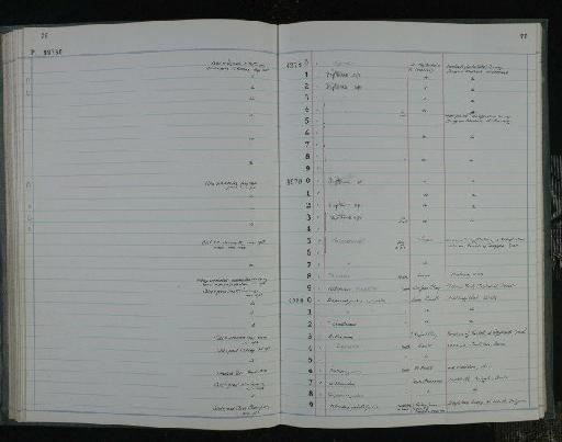 Siluriformorum - NHM-UK_P_DF118_03_17_0153