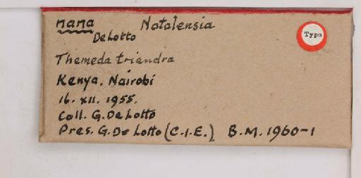 Natalensia nana De Lotto, 1961 - 010715147_additional