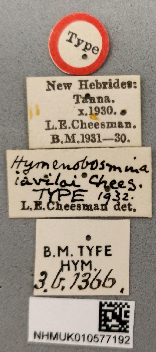 Hymenobosmina iavilai Cheesman, 1936 - 010577192_Hymenobosmina_iavilai_labels