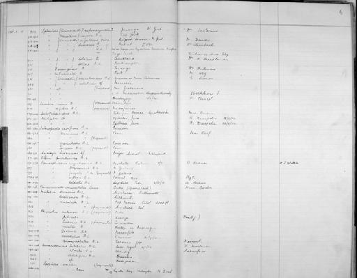 Armadilloniscus obtusifrons Budde-Lund - Zoology Accessions Register: Crustacea - Budde Lund Collection 1921 & Stebbing Collection 1928: page 6