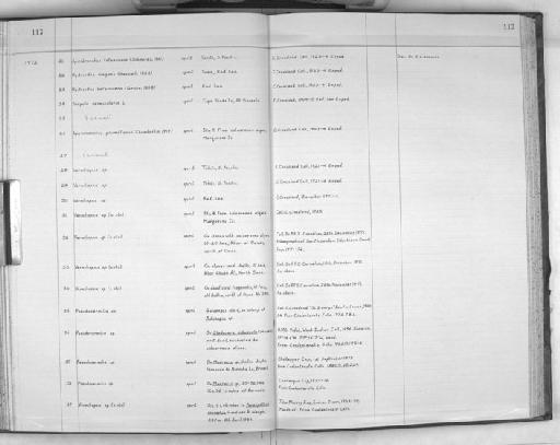 Pseudovermilia - Zoology Accessions Register: Polychaeta: 1967 - 1989: page 113