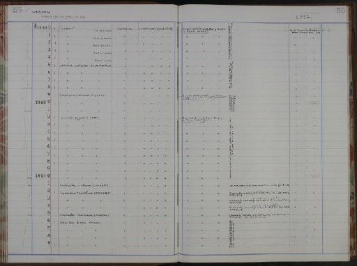 Hemiaster minimus Agassiz - NHM-UK_P_DF118_02_56_0111